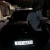 t___a244