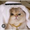 syafi.zikri.syahr