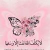 sn.moftah