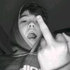 palll330