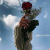 rahmawalied53