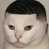 dlecutay