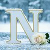 Nisreen Al muhammad