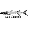 barracuda4044
