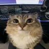 hellomirr3