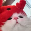 pochoknwkfi