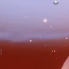 pepehor1