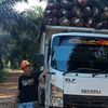 andi.prasetya09