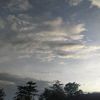 gilz_444