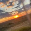dariya_141