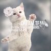 dream_team619