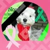 chantalchan1