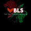 BLS Traders
