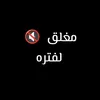 313irag_3