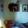 leva_603