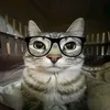 gugu_editzy