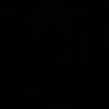 shaked_412