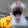 yk_al0