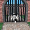 zaxj150_onmm2