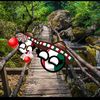 yaretzhimrcountryball