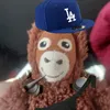 monkey_promax
