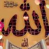 bosy48616