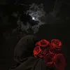 leen_9634