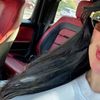 sarahvy29
