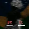 akm.xits