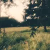 ccoplll