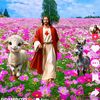 user7908449178458