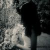 mi_l73