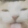 _suk1ixx