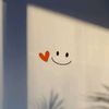 _h.ticona_