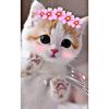 user1431491081700