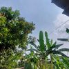 nplzz_gankk