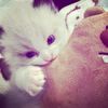 selff_lovee2