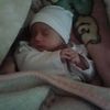 hassan.farag61