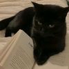 cat.lover8664