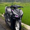 rasya.dr5