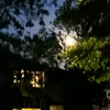 moooomow1