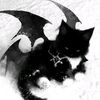 noonecares_274
