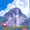 .titt23