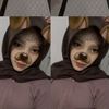olip_saja2