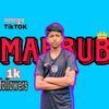 mahabub_ms3