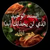 user28380296137707