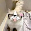 shar.shar856