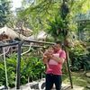 tabiez.ayahe.zafi