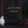 asifaliasif0182