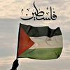 belad677